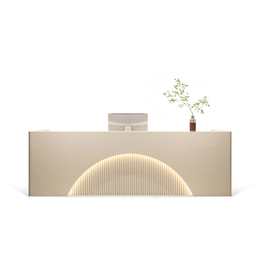 (In Stock) Fully  Assembled LED Salon Reception Desk  with Storage JDT-1039